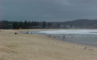 Terrigal Beach: Central Coast Net